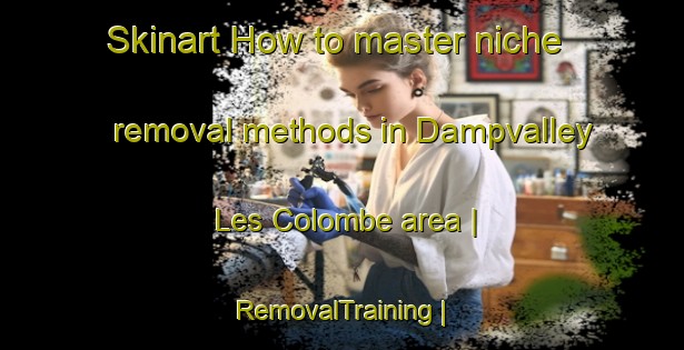 Skinart How to master niche removal methods in Dampvalley Les Colombe area | RemovalTraining | RemovalClasses | SkinartTraining-France